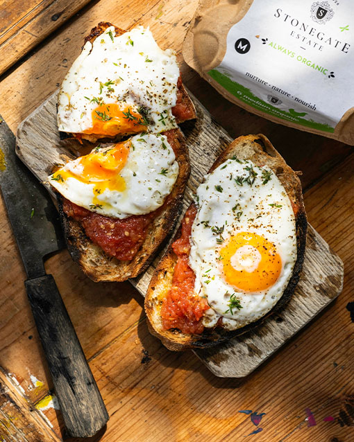 Pan con Tomate with a Fried Egg